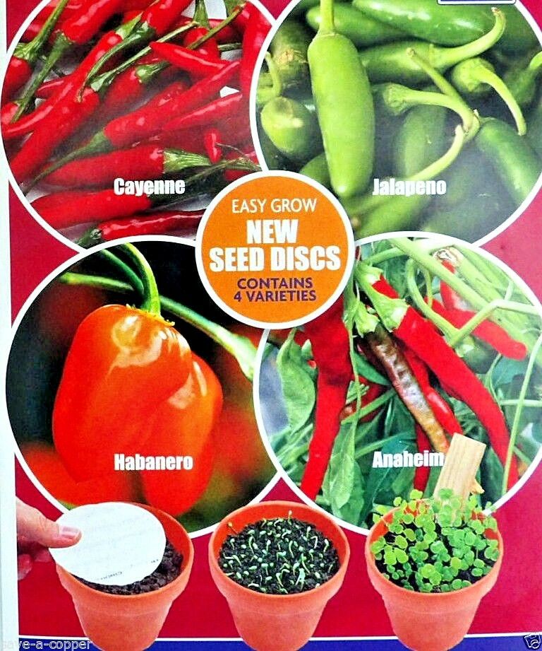 CHILLI COLLECTION MULTI PACK -4 DISCS 4 VARIETIES - HIGH QUALITY VEGETABLE SEEDS