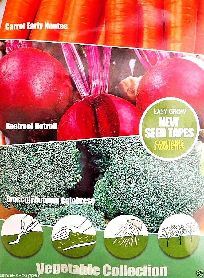 VEGETABLE COLLECTION SEED TAPE MULTI PACK 3 VARIETIES - QUALITY VEGETABLE SEEDS