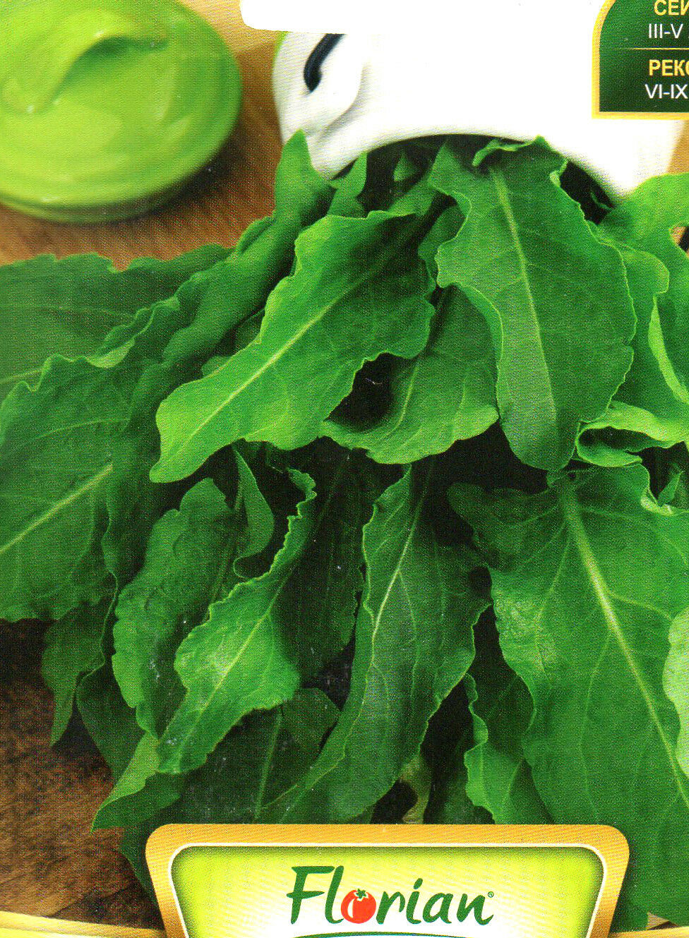 SORREL - RUMEX ACETOSA - PERENNIAL - 1200 QUALITY VEGETABLE SEEDS /573
