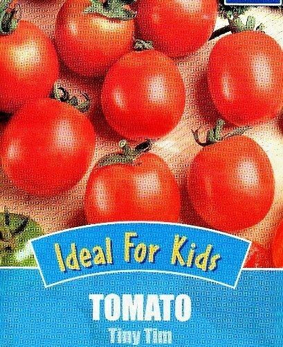 TOMATO - TINY TIM - IDEAL FOR KIDS - 40 HIGH QUALITY VEGETABLE SEEDS