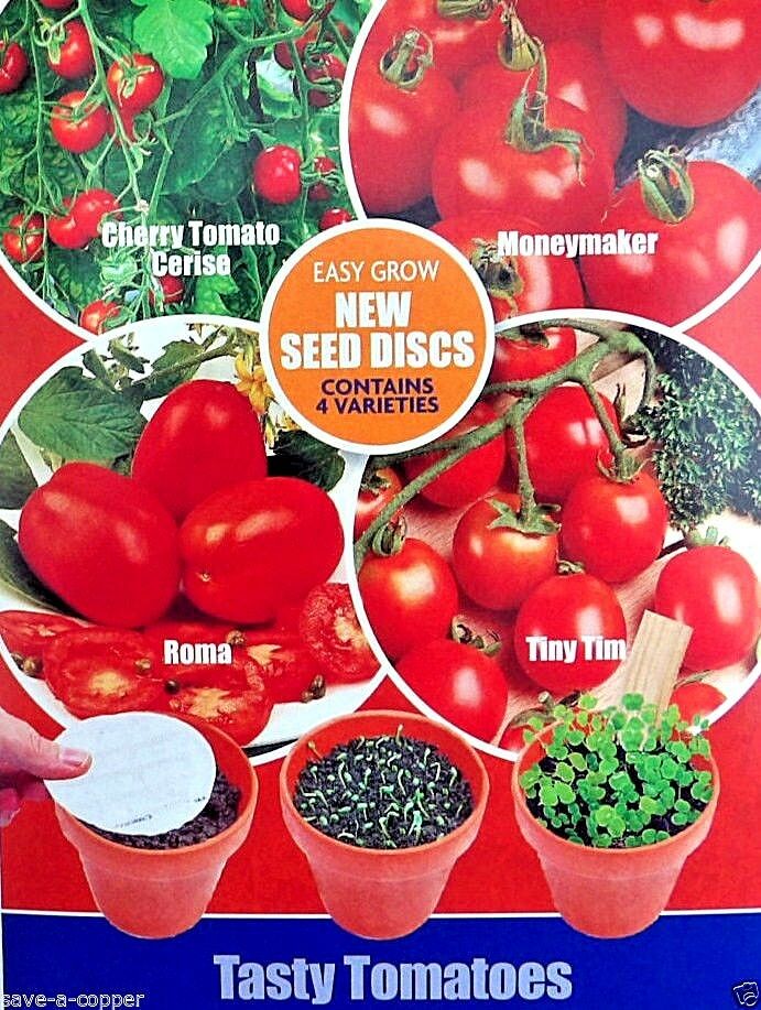 TASTY TOMATOES DISC MULTI PACK 4 VARIETIES - HIGH QUALITY VEGETABLE SEEDS