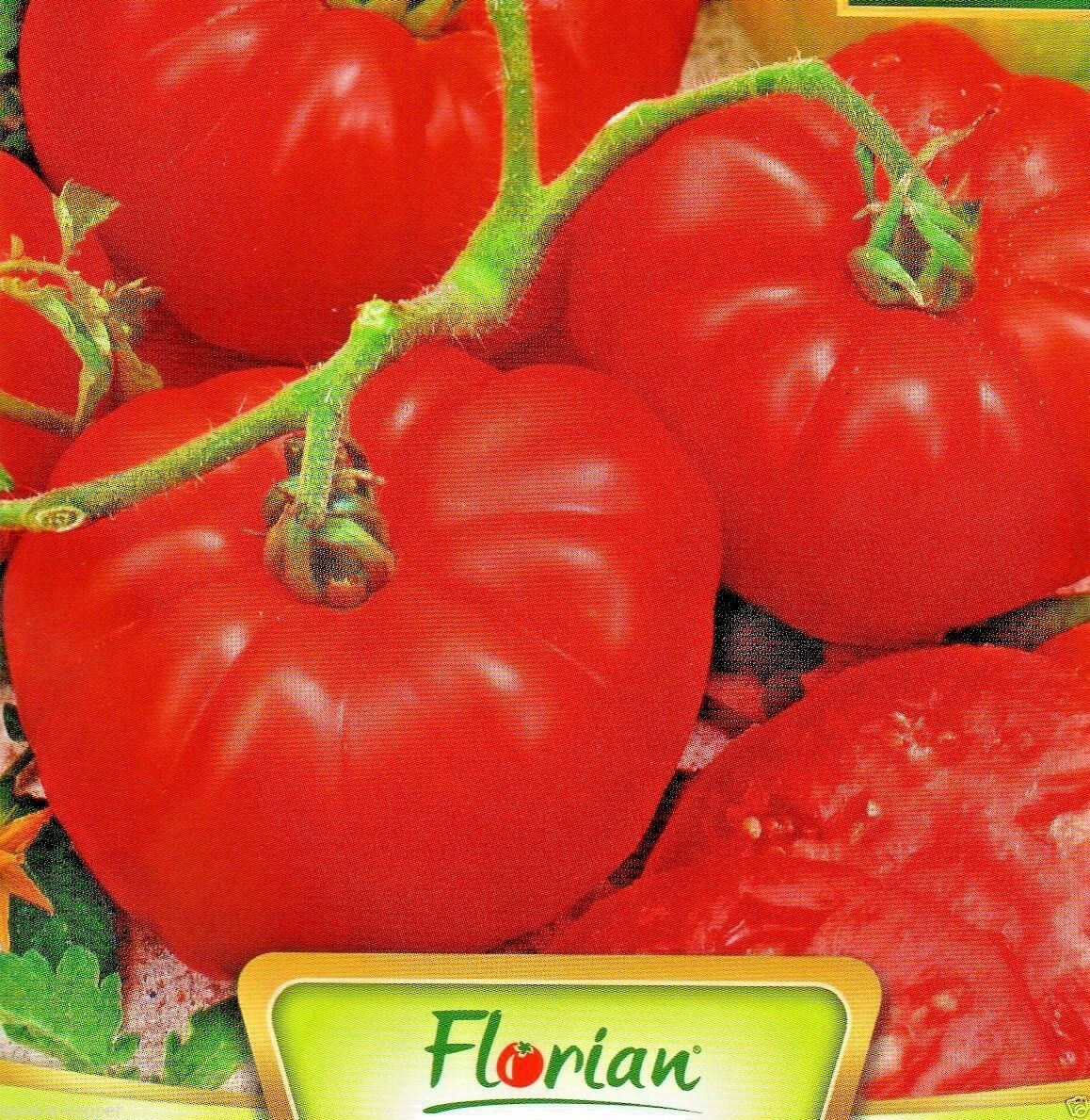 TOMATO - MARMAND - INDETERMINATE VARIETY - 300 HIGH QUALITY VEGETABLE SEEDS /101