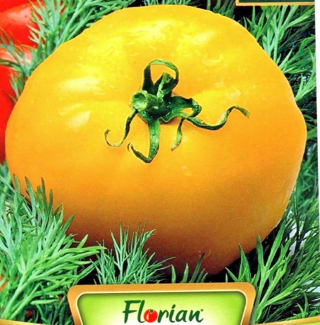 BEEFSTEAK TOMATO - LARGE - BRANDYWINE YELLOW - 60 QUALITY VEGETABLE SEEDS /832