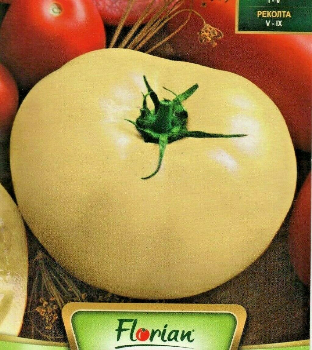 WHITE BEEFSTEAK TOMATO - EXTRA LARGE - 60 HIGH QUALITY VEGETABLE SEEDS /833