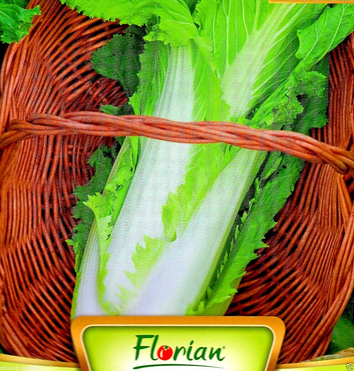 CHINESE CABBAGE  - GRANAT - 1290 HIGH QUALITY VEGETABLE SEEDS /188