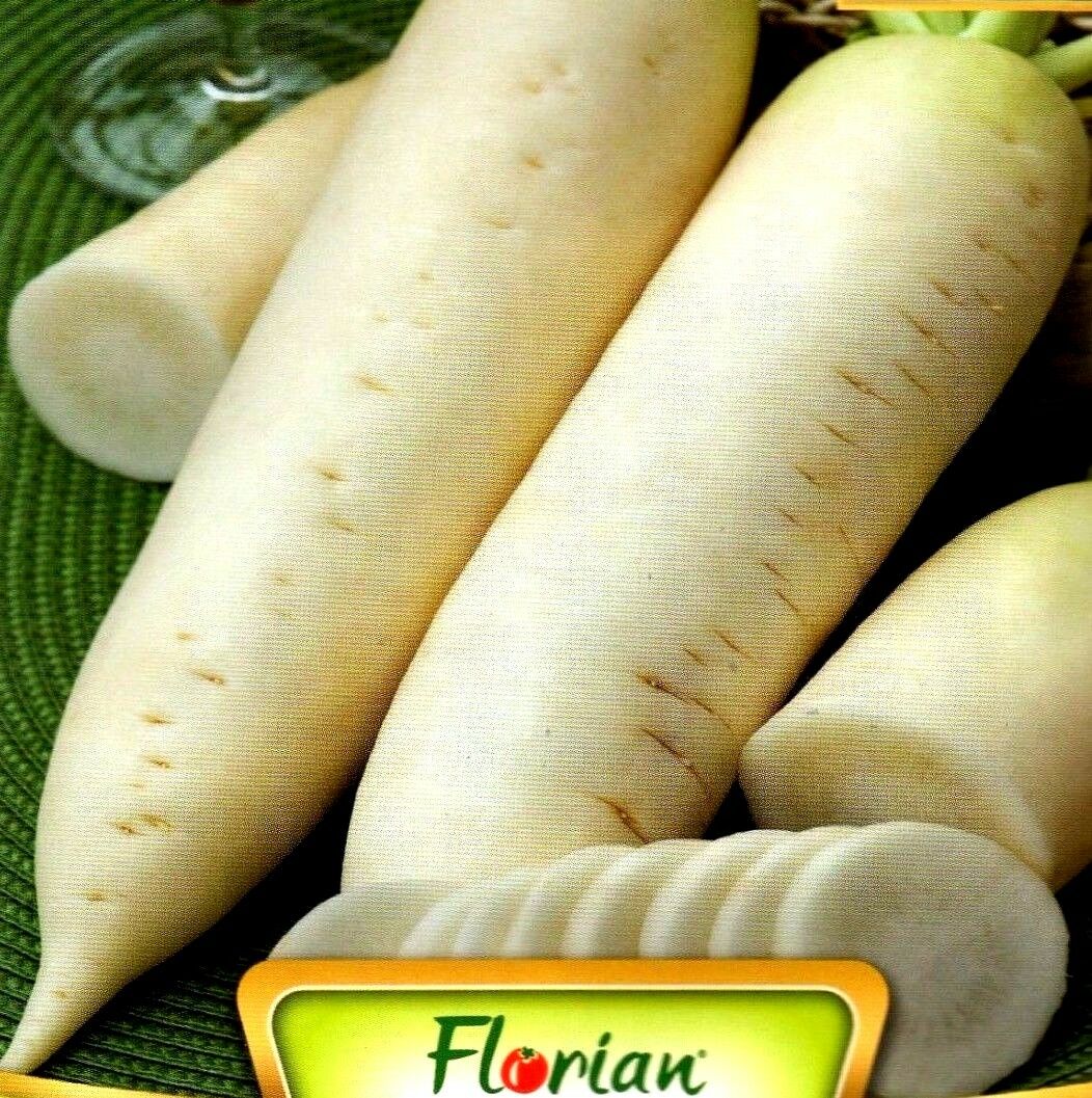 TURNIP - WHITE - DAYKON MINOWASE - 500 HIGH QUALITY VEGETABLE SEEDS /230
