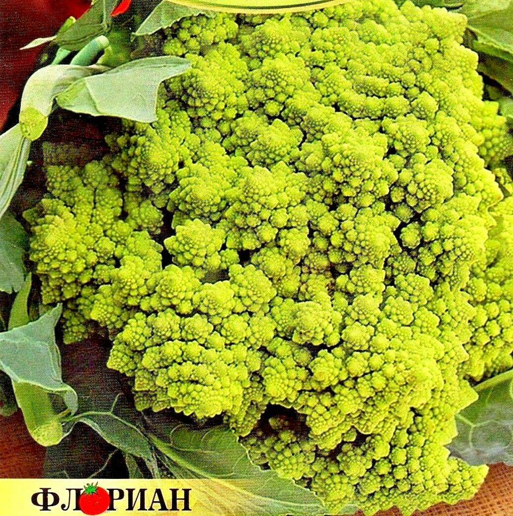 CAULIFLOWER - ROMANESCO NATALINO - 450 HIGH QUALITY VEGETABLE SEEDS