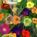 SPECIAL MIX OF ANNUAL CLIMBING PLANTS - APPROX  1g - HIGH QUALITY FLOWER SEEDS/1309