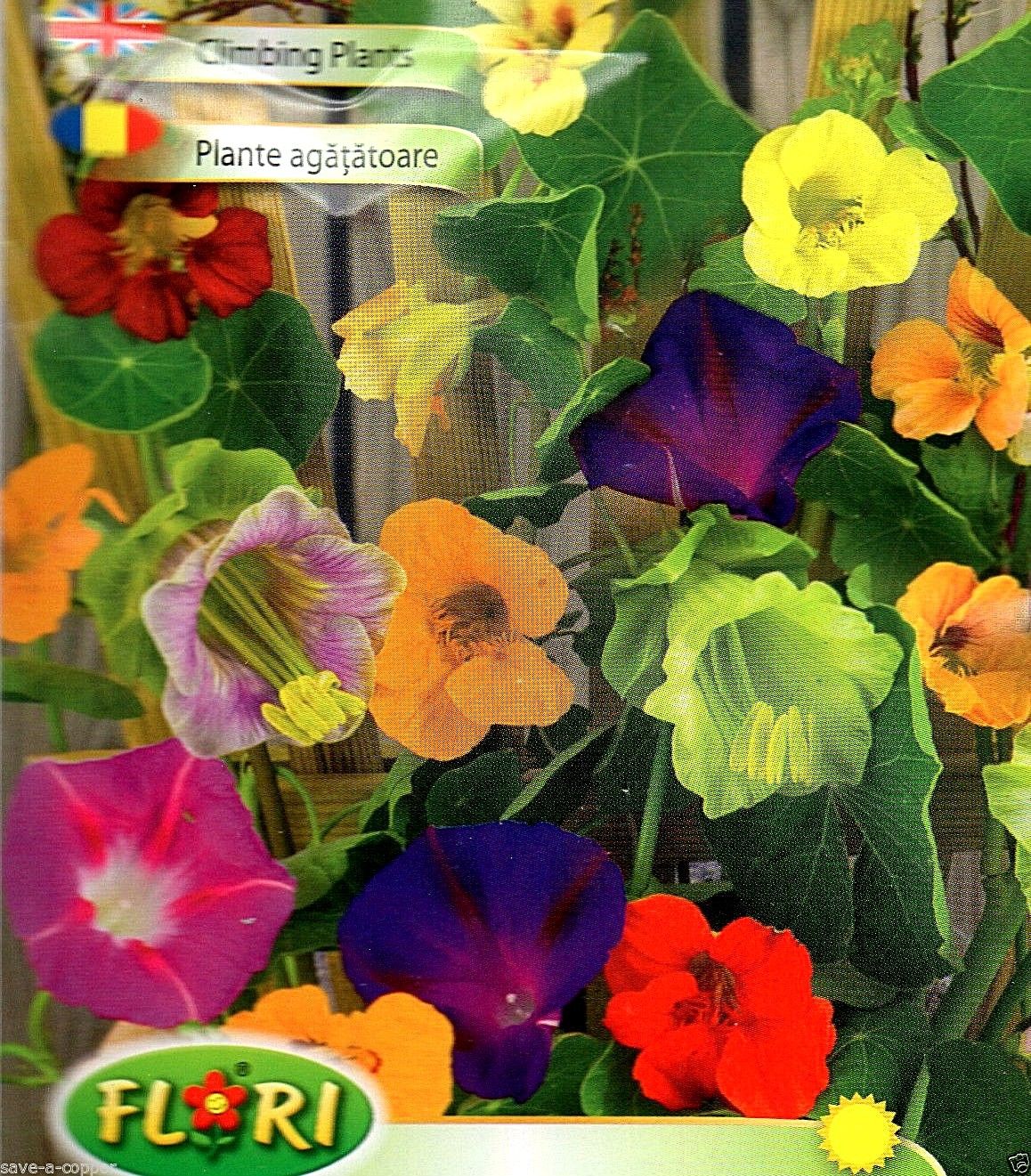 SPECIAL MIX OF ANNUAL CLIMBING PLANTS - APPROX  1g - HIGH QUALITY FLOWER SEEDS/1309