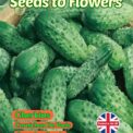 GHERKIN - CORNICHON DE PARIS - EARLY VARIETY - 70 HIGH QUALITY VEGETABLE SEEDS