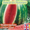 WATERMELON CRIMSON SWEET - CITRULLUS LANATUS - 30 HIGH QUALITY FRUIT SEEDS