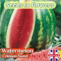 WATERMELON CRIMSON SWEET - CITRULLUS LANATUS - 30 HIGH QUALITY FRUIT SEEDS
