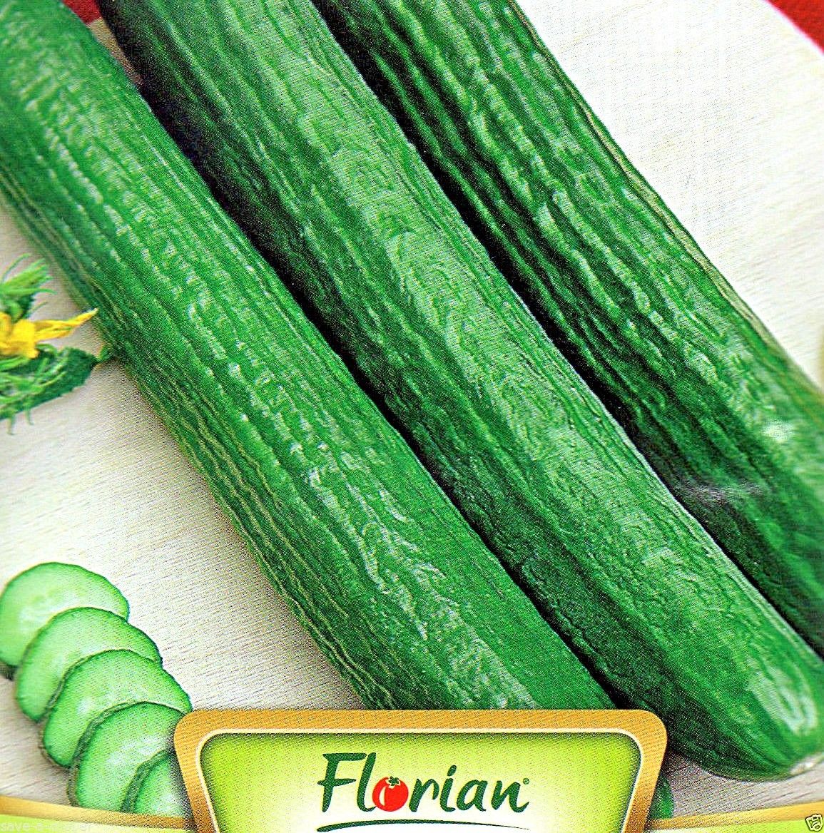 CUCUMBER - CUCUMIS SATIVUS L.- GERGANA - 64 HIGH QUALITY VEGETABLE SEEDS /123