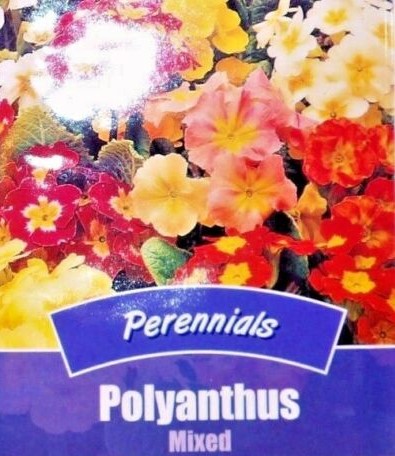 POLYANTHUS MIXED - PRIMULA - PERENNIAL - 65 HIGH QUALITY FLOWER SEEDS