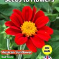 MEXICAN SUNFLOWER - RED TORCH - TITHONIA SPECIOSA - 200 QUALITY FLOWER SEEDS