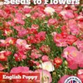 ENGLISH POPPY SHIRLEY SINGLE MIXED PAPAVER RHOEAS 9000 ORGANIC FLOWER SEEDS/141F