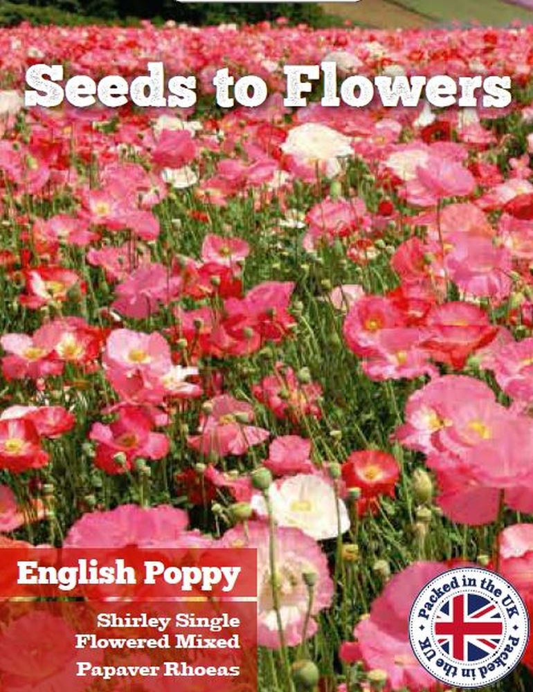 ENGLISH POPPY SHIRLEY SINGLE MIXED PAPAVER RHOEAS 9000 ORGANIC FLOWER SEEDS/141F