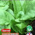 GARDEN SORREL RUMEX ACETOSA GREEN DE BELLEVILLE - PERENNIAL - 1200 ORGANIC SEEDS