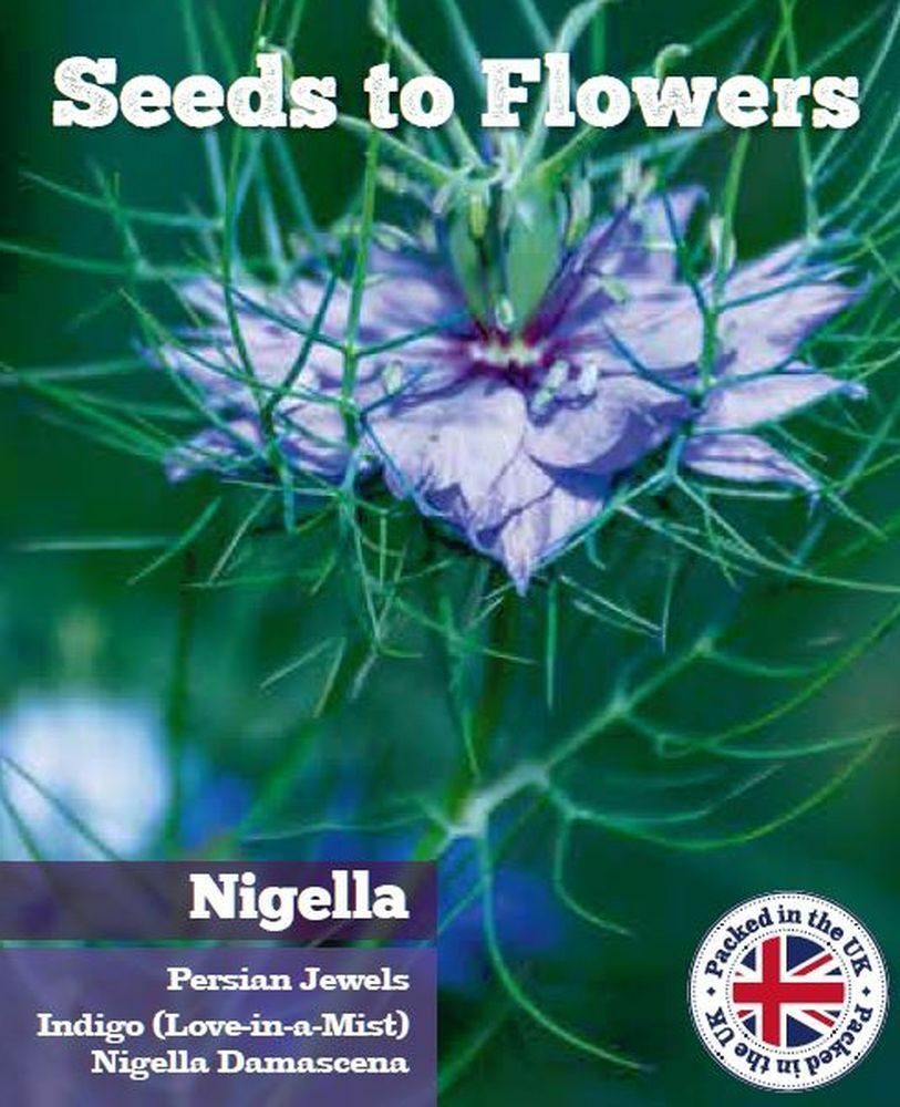 NIGELLA - PERSIAN JEWELS INDIGO - LOVE IN A MIST - 850 FINE FLOWER SEEDS /131F