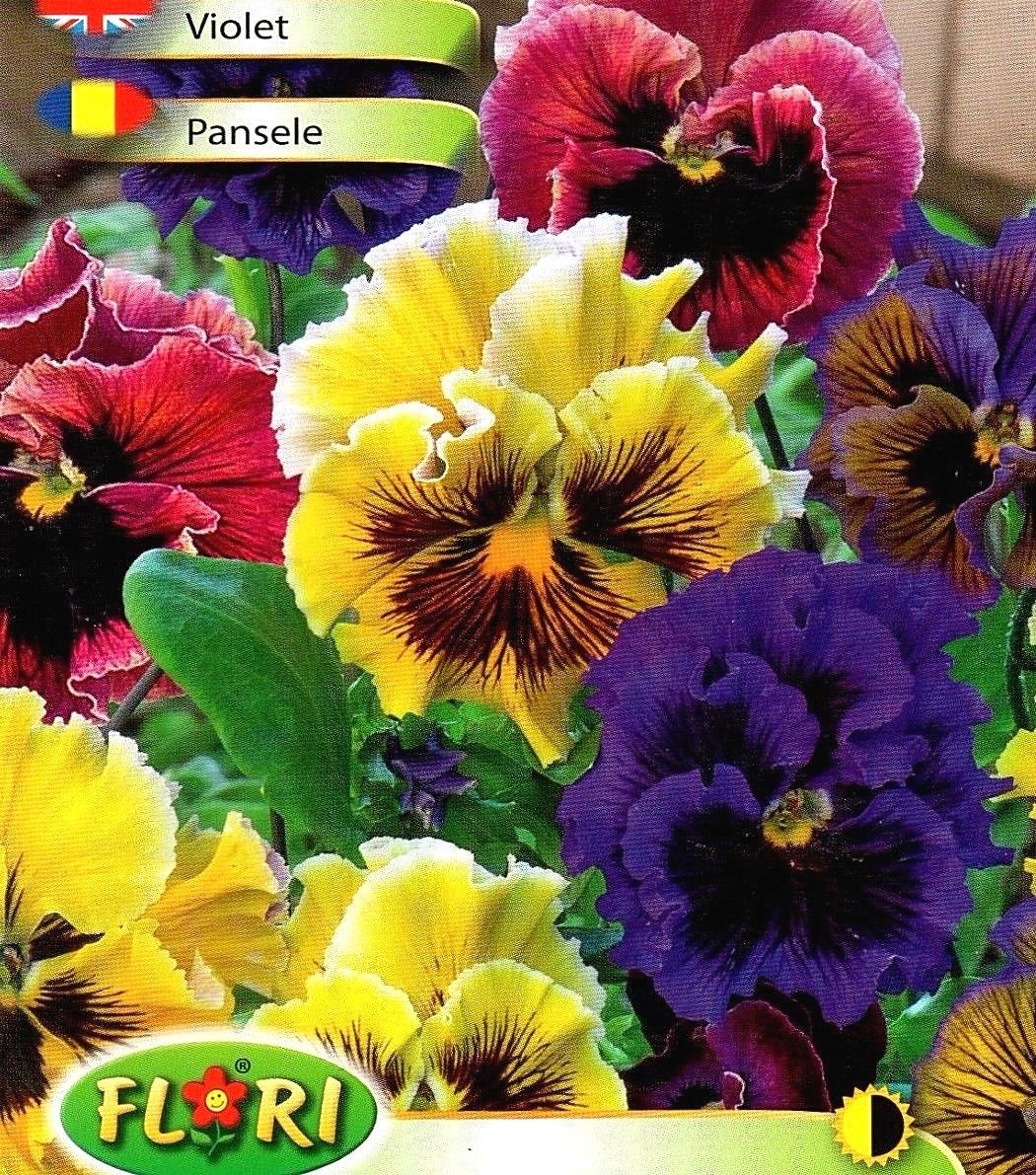 VIOLA PANSY ROCOCO - FRILLED - MIXED - 130 HIGH QUALITY FLOWER SEEDS /1249