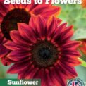 RED GIANT SUNFLOWER - RED SUN - HELIANTHUS ANNUUS - 40 FINE FLOWER SEEDS /100F