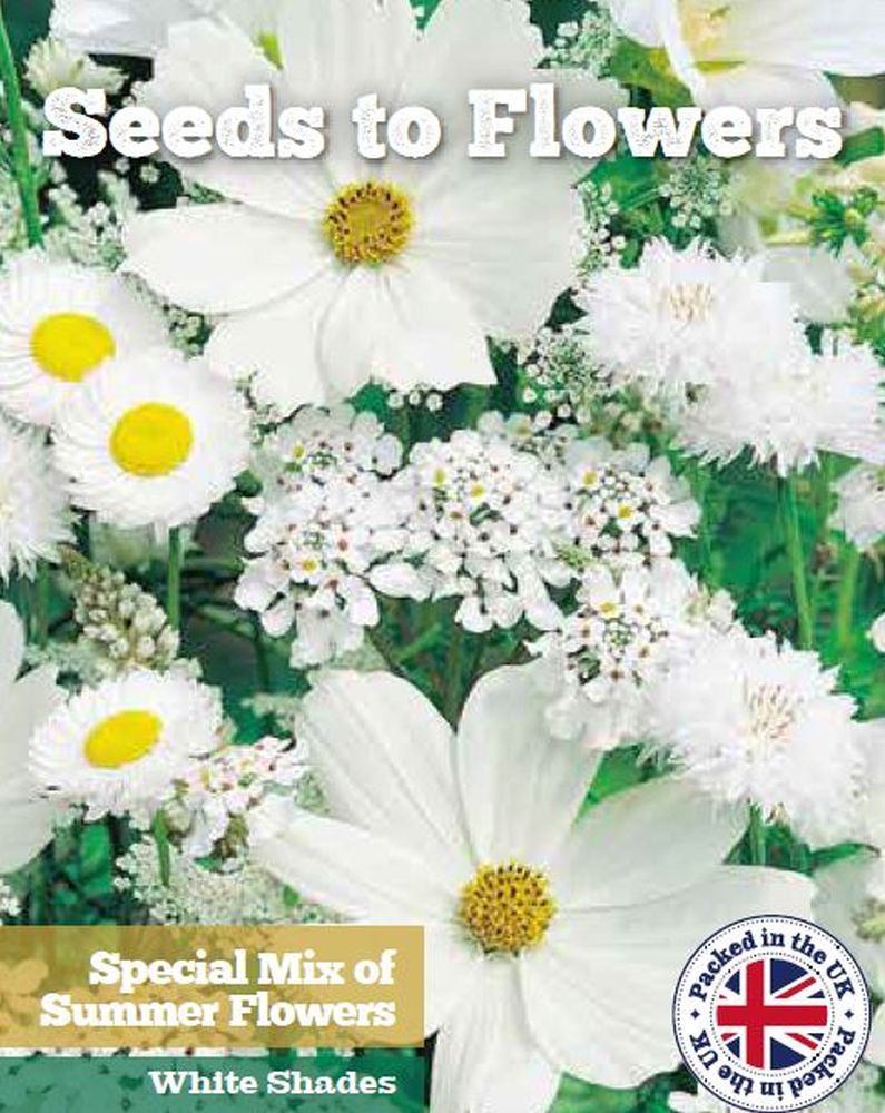 THROW AND GROW SUMMER FLOWERS - WHITE SHADES - 2G (3 SQ.M) FLOWER SEEDS /138F