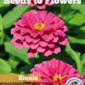 ZINNIA - ROSY LAVENDER DREAM - ZINNIA ELEGANS DAHLIA FLOWERED - 150 SEEDS /136F