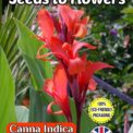 CANNA INDICA - EXOTIC PLANT - 20 BEST QUALITY SEEDS - FULLY COMPOSTABLE PACKET