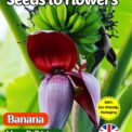 BANANA - MUSA BALBISIANA - EXOTIC TROPICAL - COMPOSTABLE PACKET - 15 BEST SEEDS
