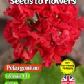 GERANIUM PELARGONIUM - ZONALE F1 - RED - 15 FLOWER SEEDS - COMPOSTABLE PACKET