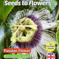 PASSION FLOWER - PASSIFLORA EDULIS - FLOWERING CLIMBER - TROPICAL - COMPOSTABLE PACKET -20 SEEDS