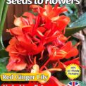 RED GINGER LILY - HEDYCHIUM RUBRUM - TROPICAL - COMPOSTABLE PACK - 12 SEEDS