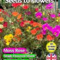 MOSS ROSE - PORTULACA GRANDIFLORA - SINGLE MIXED - 16500 BEST FLOWER SEEDS - COMPOSTABLE PACKET