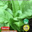 GARDEN SORREL RUMEX ACETOSA GREEN DE BELLEVILLE - PERENNIAL - 2500 ORGANIC SEEDS - COMPOSTABLE PACKET
