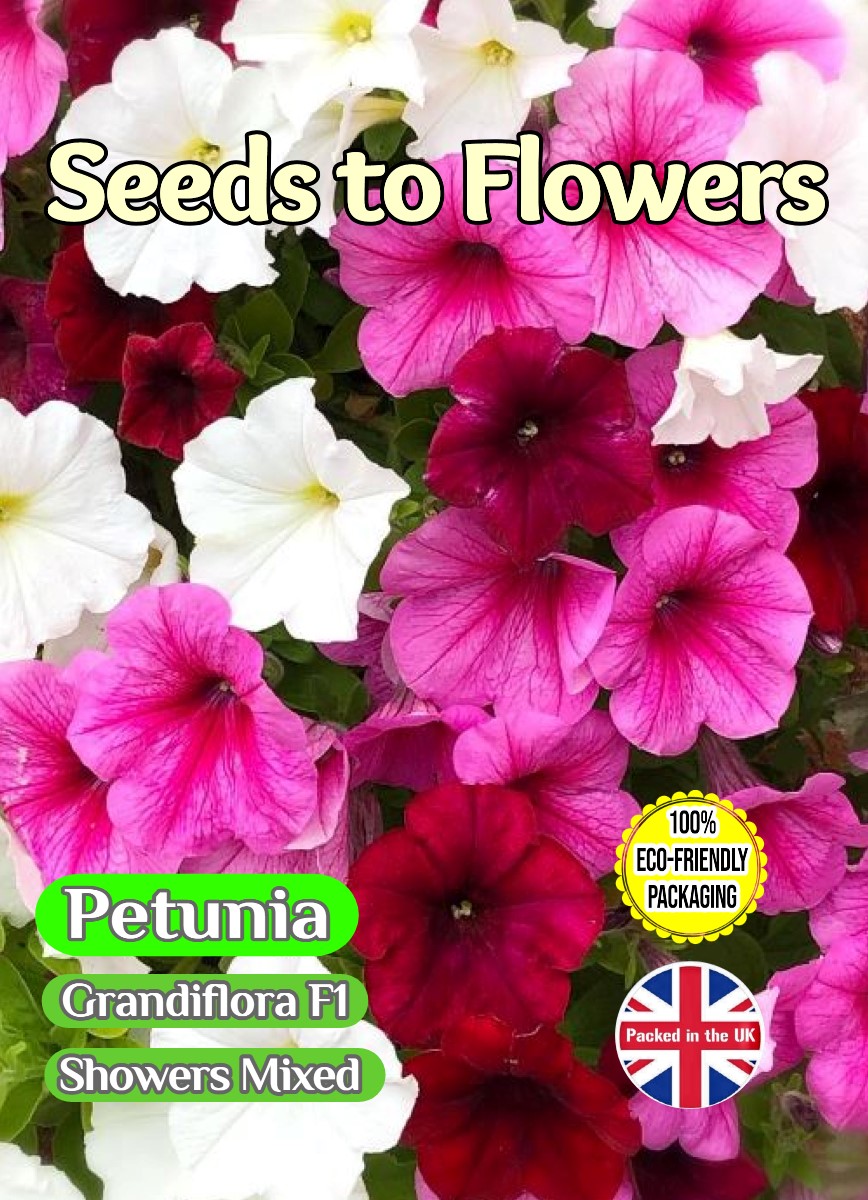 PETUNIA CASCADING GRANDIFLORA F1 - SHOWERS MIXED - 20 HIGH QUALITY FLOWER SEEDS - COMPOSTABLE PACKET