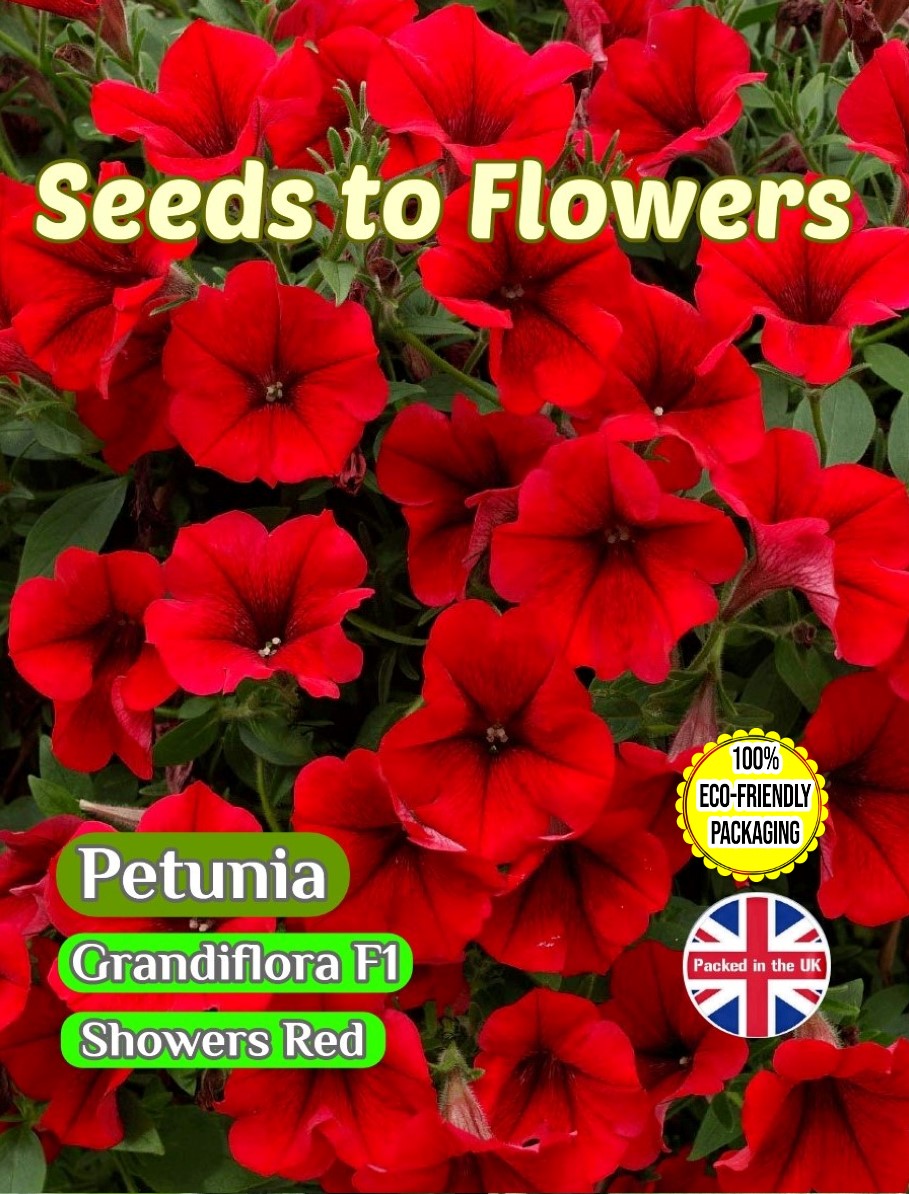 PETUNIA CASCADING GRANDIFLORA F1 - SHOWERS RED - 20 HIGH QUALITY FLOWER SEEDS - COMPOSTABLE PACKET