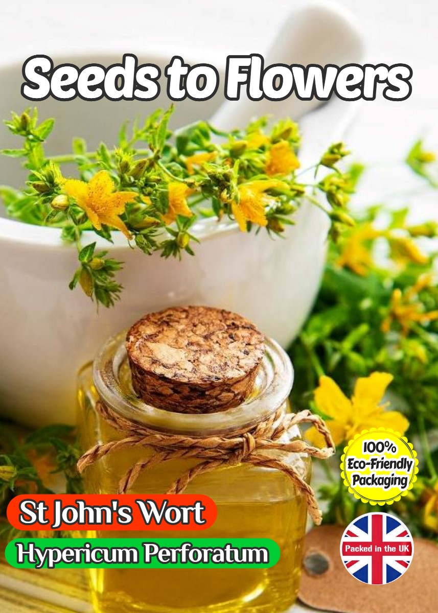 HYPERICUM PERFORATUM - ST JOHN'S WORT - 9000 BEST HERB SEEDS -COMPOSTABLE PACK