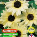 SUNFLOWER- HELIANTHUS DEBILIS - ICE CREAM - 200 FLOWER SEEDS -COMPOSTABLE PACKET