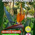 STRELITZIA REGINAE - BIRD OF PARADISE - EXOTIC TROPICAL PLANT - 6 BEST QUALITY SEEDS FULLY COMPOSTABLE PACKET