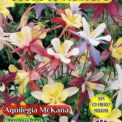 AQUILEGIA MCKANA - GIANTS MIXED - PERENNIAL - 800 FLOWER SEEDS - COMPOSTABLE PACK