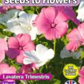 LAVATERA TRIMESTRIS - MIXED -375 BEST FLOWER SEEDS - FULLY COMPOSTABLE PACKET