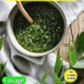 LOVAGE - LEVISTICUM OFFICINALIS - 420 HIGH QUALITY HERB SEEDS COMPOSTABLE PACKET