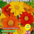 MEXICAN SUNFLOWER - MIXED - TITHONIA SPECIOSA - 200 QUALITY FLOWER SEEDS
