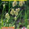 ORNAMENTAL GRASS - BRIZA MAXIMA - QUAKING PEARL GRASS 250 750 1250 SEED PACKET