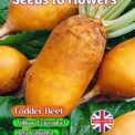 FODDER BEET - YELLOW ECKENDORF - BETA VULGARIS L. - 600 HIGH QUALITY SEEDS