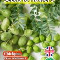CHICKPEA - CICER ARIETINUM L. - 20 ORGANIC SEEDS - GROW YOUR OWN CHICKPEAS