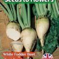 WHITE FODDER BEET - SEMI SUGAR - BETA VULGARIS L. - 600 HIGH QUALITY SEEDS