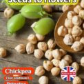 CHICKPEA - PRINCIPE - 20 HIGH QUALITY SEEDS - GROW YOUR OWN CHICKPEAS
