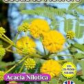 ACACIA NILOTICA - BABUL - ARABIC GUM TREE  - FLOWERING TREE - COMPOSTABLE PACKET - 12 SEEDS