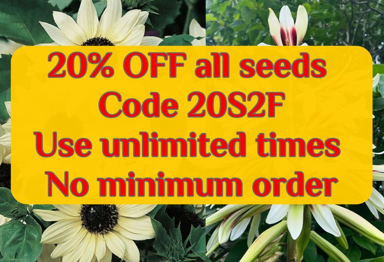 https://seedstoflowers.com/wp-content/uploads/2026/02/20-discount.jpg